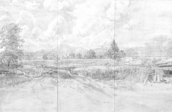 Lada Nakonechna. Picturesque Ukraine. 2021. Transfer print, drawing on paper