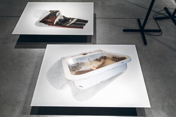 Lada Nakonechna. David's Nose. 2021. Objects Objects (photographs stripped of their top layer attached to metal, pencil drawing, light)