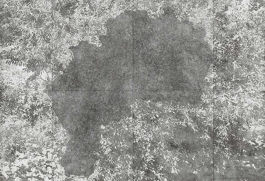 Lada Nakonechna. Occupation. 2019. Transfer print, graphite on paper